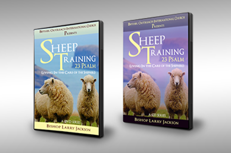 sheeptrainingdvd